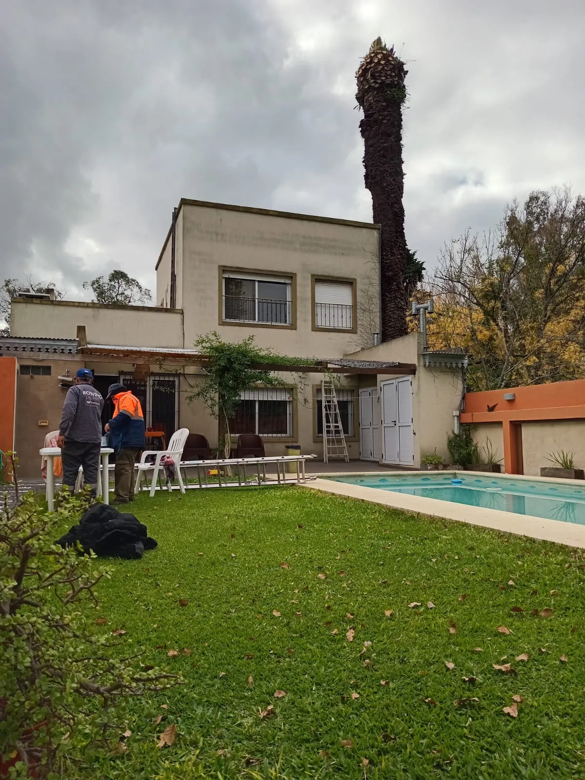 Retiro de árbol seco en Bernal